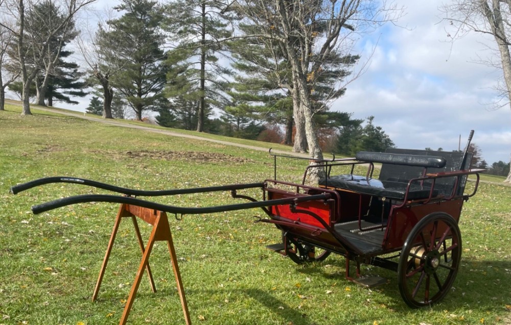 Imported Bennington Super Star 2 Two Wheel Cart Accessible Wheel Chair Driving
