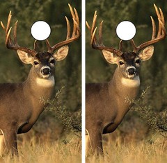 C112 Deer Cornhole Board Wrap LAMINATED Wraps Decals Vinyl Sticker