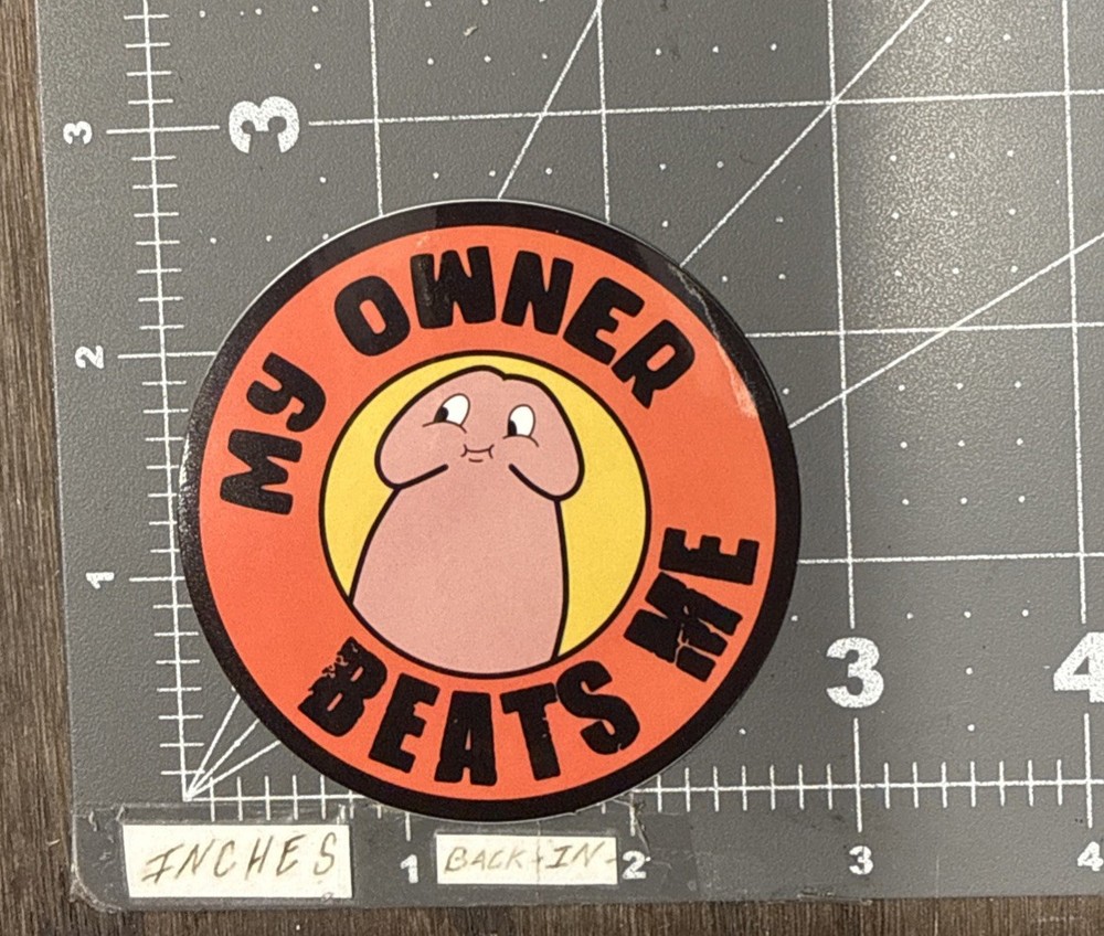 My Owner Beats Me Funny Adult Humor Sticker For Hard Hat Toolbox Ect Gloss21