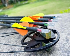 6PCS Lighted Nocks for Arrows with .246/ .244/ .233/ .204/ .165 Inside Diamet…