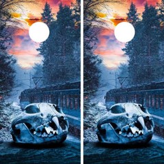 KT Cornhole Wraps Frozen Train Express Landscape laminated Cornhole Vinyl Wraps