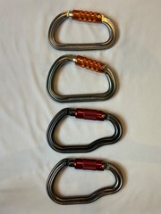 Petzl Grigri 2 Belay Device Bundle Kit – William Am’d 2x Vertigo Carabiners NWOT
