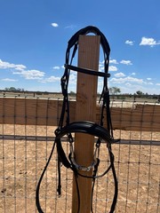 Black CWD Dressage Bridle Size 2