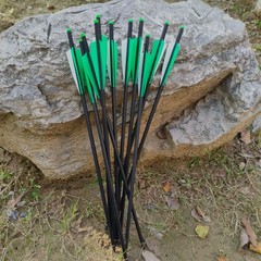 12pcs Crossbow Arrows 20″ Hunting Bolts &/OR Broadheads Lighted Nocks Archery