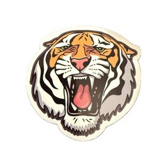 Thrasher Skateboard Sticker Lot Flame Logo Tiger Skull Graphic Decals 4pc