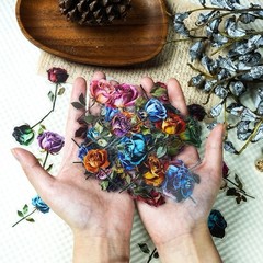 28Pcs Random Vintage Rose Dried Flowers Transparent PET Waterproof Stickers