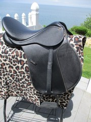 16.5» Med Wintec 250 Adjustable English A/P Saddle, Wintec Webbers & compositi