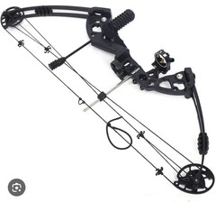 Archery Eagle Compound Bow and Archery Sets 0-70lbs for Adults and Teens,25″-…