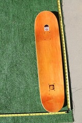 Element Brandon Westgate Dog Cat Pro Model Red 8x31in. Vintage SKATEBOARD DECK