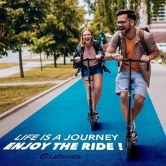 Adjustable Kick Scooter for Adults – Foldable, Lightweight, 264lbs Capacity