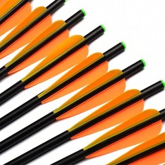 12Pcs 20in Crossbow Bolts Fiberglass Crossbow OD 8 mm Flat Nocks Archery Arrows