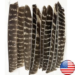 50X Full Length Arrow Feathers Turkey Fletches Fletching RW LW Archery Shaft DIY