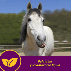 Horse Health Red Cell, Liquid Vitamin-Iron-Mineral Supplement for Horses, Helps