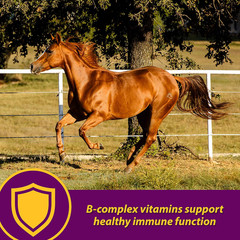 Horse Health Red Cell, Liquid Vitamin-Iron-Mineral Supplement for Horses, Helps