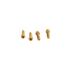 5/16″-18*1-1/4″ Gold Stainless Steel Handlebar Top Cover Riser Bolts for Harley