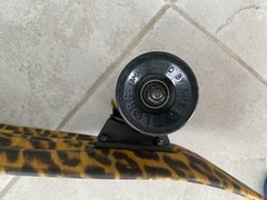 Globe Bantam Graphic ST Leopard Penny Board Skateboard Cruiser – 23 in x 6 in