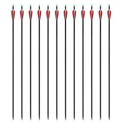 12pcs Archery Carbon Arrows Spine 500 Recurvebow Compound Bow Hunting 30″ Arrow