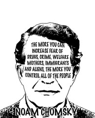 Noam Chomsky Quote Stickers