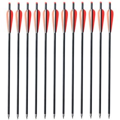 12Pcs 20» Archery Carbon Crossbow Bolt Arrows+12Pcs 100Grain Broadheads Hunting