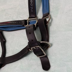 USED Black and Blue Padded Leather Horse Halter Large Size with Bling
