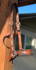 Vintage MacPherson Los Angeles Show Halter North & Judd Buckles Silver Overlay