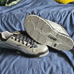 Globe Chet Thomas IV LTD Skateboarding Shoes Silver Men’s US 11 D SUPER RARE