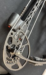 Elite Basin 20-70lb Compound Bow RH