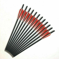 12Pcs 20″ Crossbow Bolts Carbon Arrows Half Moon Nocks 8.8mm Shaft OR Broadhead