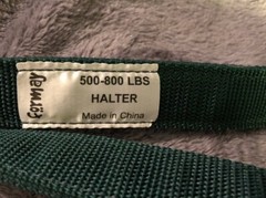 New Green Nylon Horse Halter Size Small 500-800lbs
