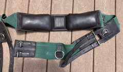 Dover Saddlery Canvas / Leather Lunging Training Surcingle PLUS SIDE REINS