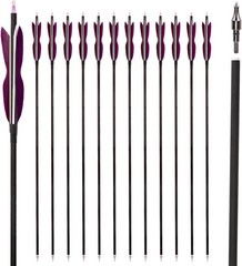 31″ Carbon Hunting Arrows with Turkey Feathers, 12 Pack