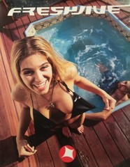 Fresh Jive Streetwear 1990s Skateboard Surf BMX Dealer Promo Poster Display