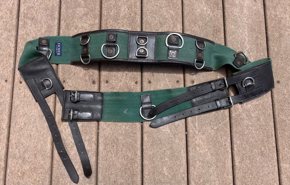 Dover Saddlery Canvas / Leather Lunging Training Surcingle PLUS SIDE REINS