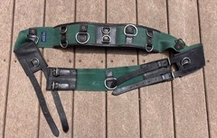 Dover Saddlery Canvas / Leather Lunging Training Surcingle PLUS SIDE REINS