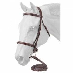 Tough 1 Premium Padded and Raised Fancy Stitch English Bridle Horse Size 22-6568