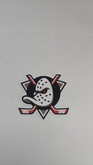 NHL Vinyl Hockey Logo Stickers