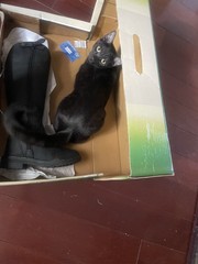 Middleburg Nubuck Winter Riding Boot 5W