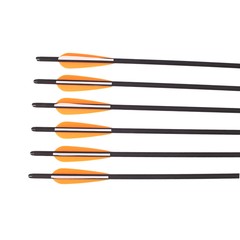 12Pcs 20 INCH Crossbow Bolts OD 8.8mm Carbon Crossbow Archery Arrows Screw Tips