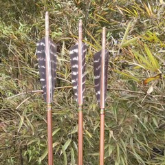 Archery Turkey Feather Right Wing 5in Barred Fletches Hunting Arrows Art Craft