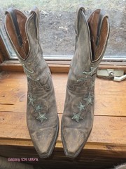 Colt Ford Western Equestrian Boots Brown Star Design women’s Size 12