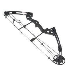 30-55lbs Compound Bow Archery 310FPS Pulley Bow Arrow Set RH Hunting Shooting