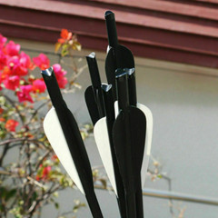 12Pcs 20″ Crossbow Bolts Carbon Arrows Half Moon Nocks 8.8mm Shaft OR Broadhead