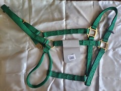 Hamilton 1” Nylon Halter Draft (x-Large) size Green NWT