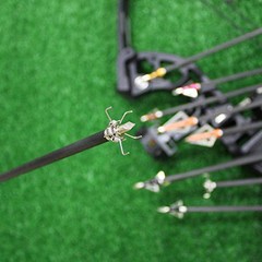 100/125 Grain Small Game Broadheads 12PK Judo Points Small Game 100 Grain Mixed
