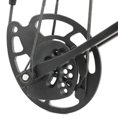 20-70lbs Bowfishing Set Adjustable Archery Compound Bow Fishing Hunt 320fps