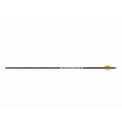 Carbon Archery Arrows for Hunting and Target Practice with Replaceable Points