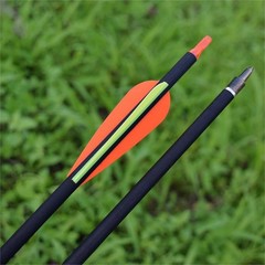 Carbon Arrow Hunting Arrows with 100 Grain Removable Tips 3 inch Streamlined …