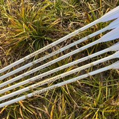 6pcs 32″ Archery Pure Carbon Arrows 5″ Turkey Feather SP500 Shooting Target .003