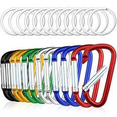 12 Pack Aluminum Carabiners D Ring with Keychain 2.5 Inch Carabiner Clip D Shape