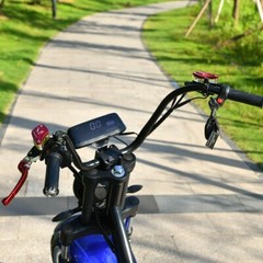Citycoco 18 Inch Fat tire Electric Scooter 4000W Motor Max Speed 75 KM/H Black